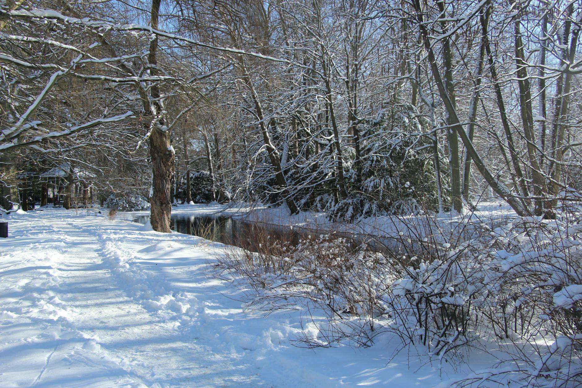 Kaip Rusijos Federacijos Saugumo Taryba formuoja šalies užsienio politikos sprendimus: mechanizmai, įtaka ir realūs pavyzdžiai