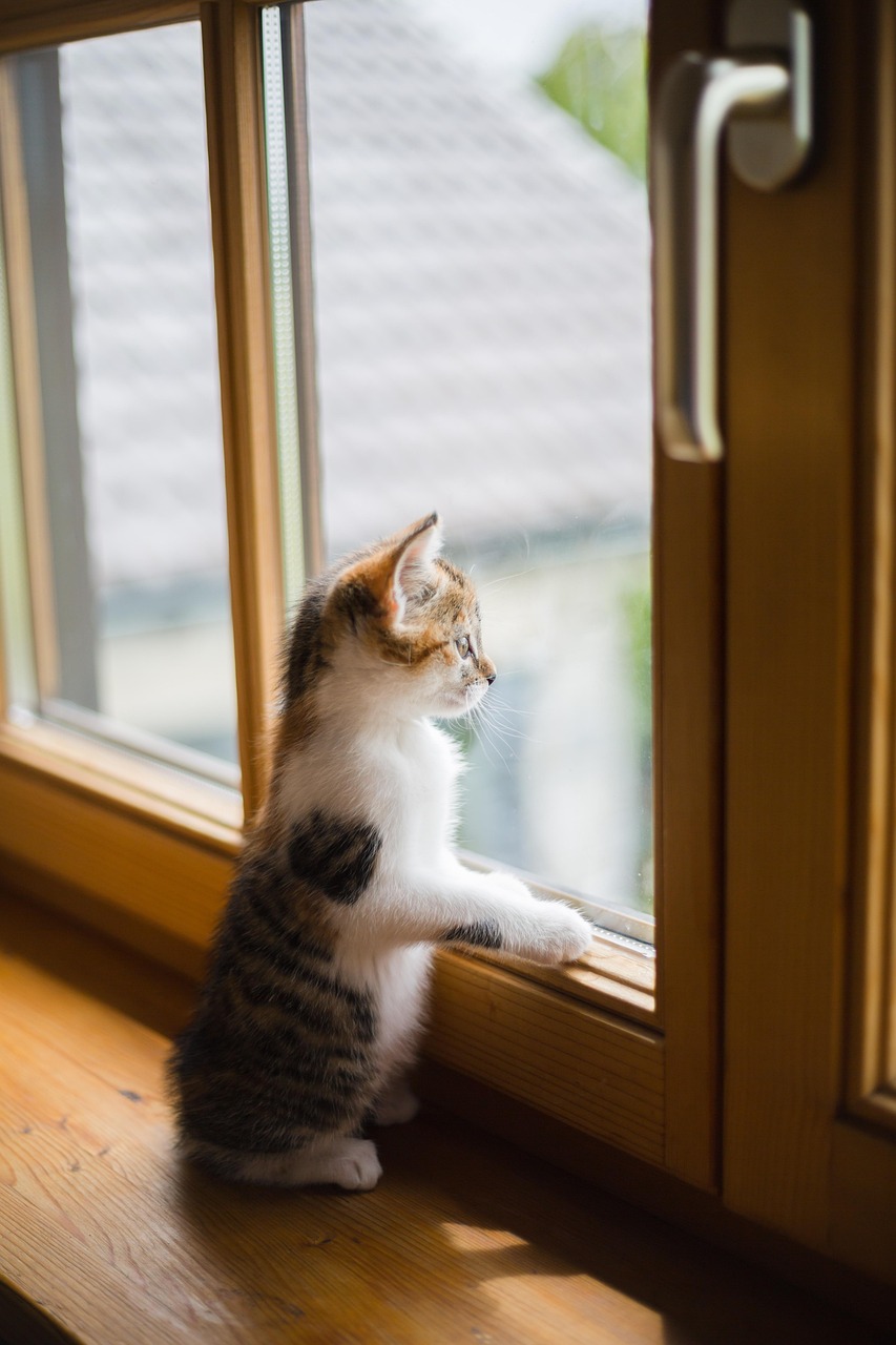 Kodėl kompiuteris lėtai veikia po „Windows” atnaujinimo ir kaip tai išspręsti Kaune nesikreipiant į servisą